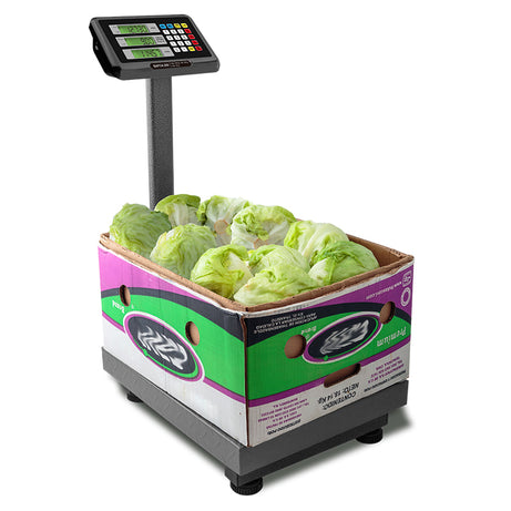 Báscula plegable de plataforma de 200 kilos Rhino Bapca-200