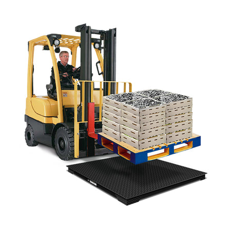 Bascula de Plataforma Bajo Perfil Rhino Plaba-9