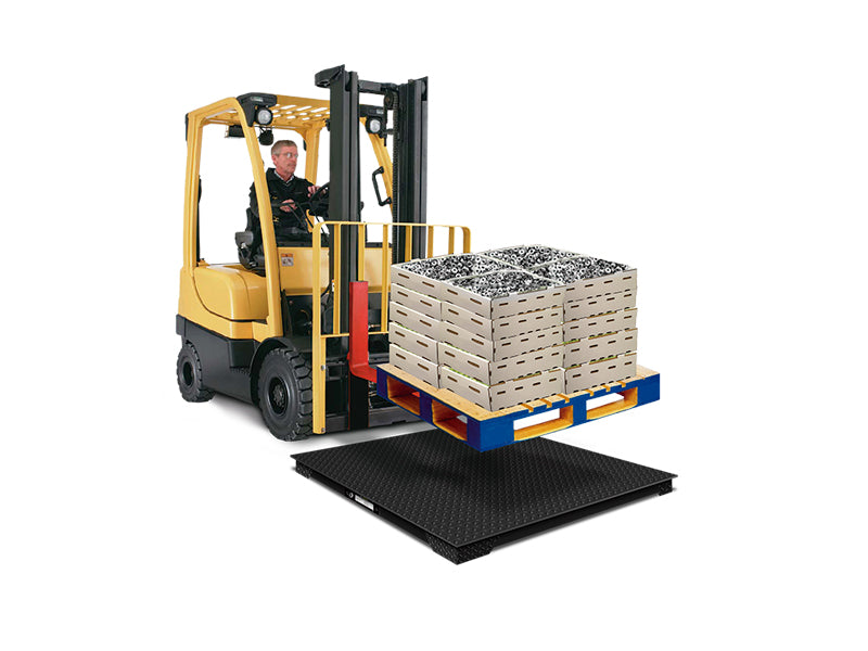 Bascula de Plataforma Bajo Perfil Rhino Plaba-9